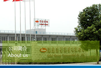 公司簡介